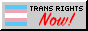 trans rights button